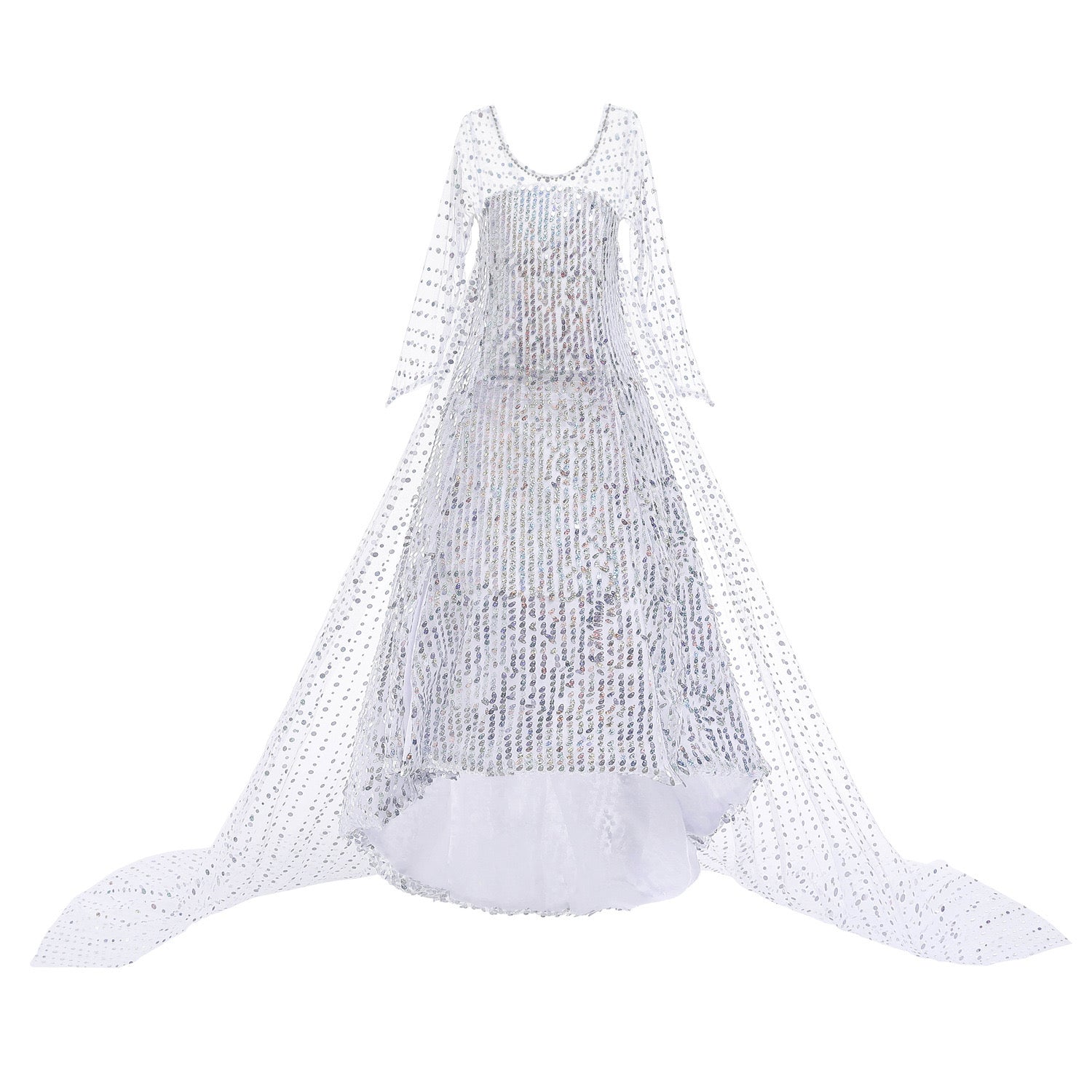 Princess Dresses Frozen Elsa Long Shinny White Style6